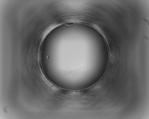 X0000101681195200807171404