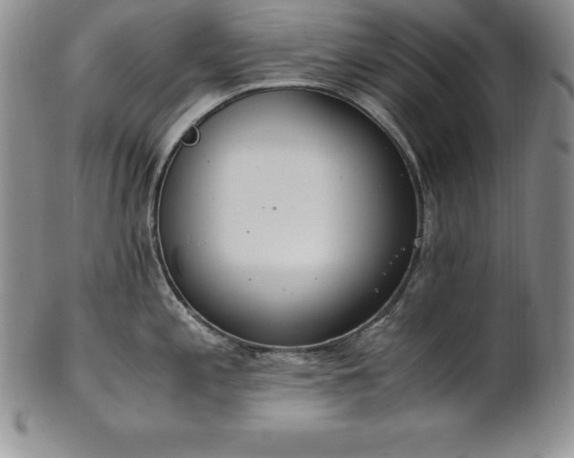 X0000101681197200807171404