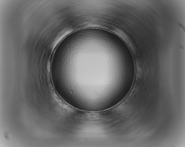 X0000101681198200807171404