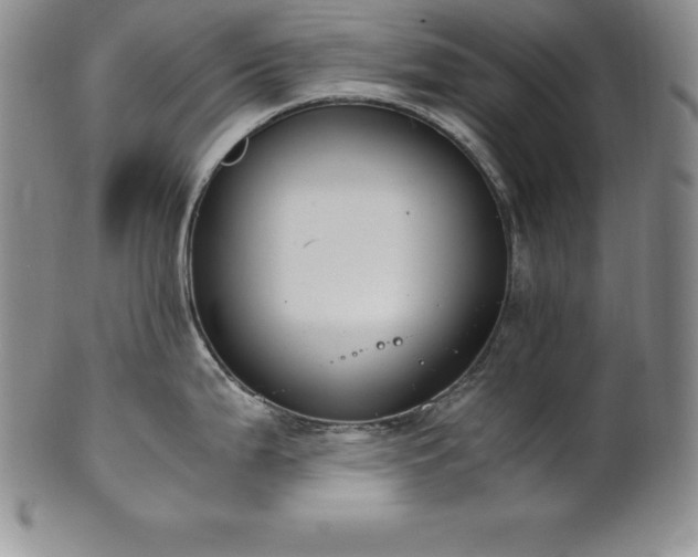 X0000101681199200807171404