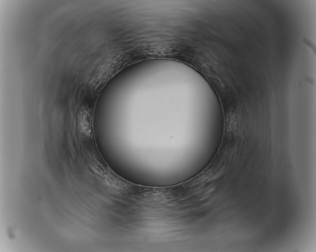 X0000101681202200807171403