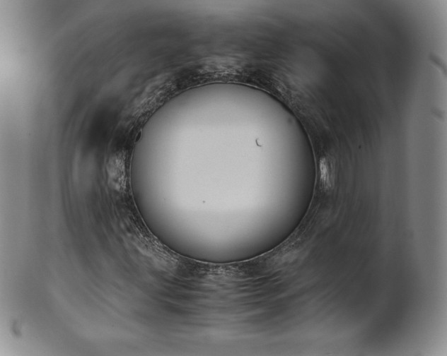 X0000101681203200807171403