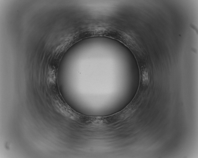 X0000101681204200807171403