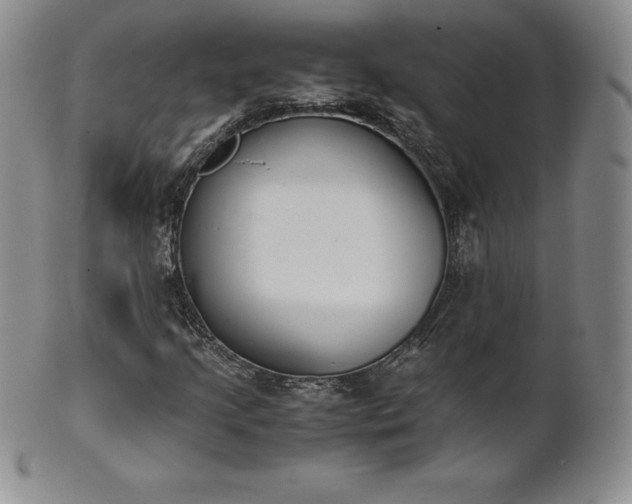 X0000101681205200807171403