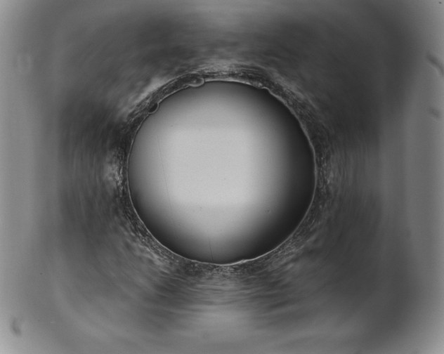 X0000101681206200807171403