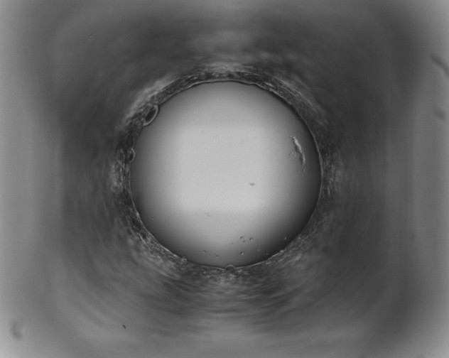 X0000101681207200807171403