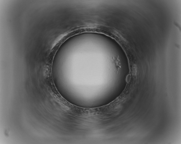 X0000101681208200807171403