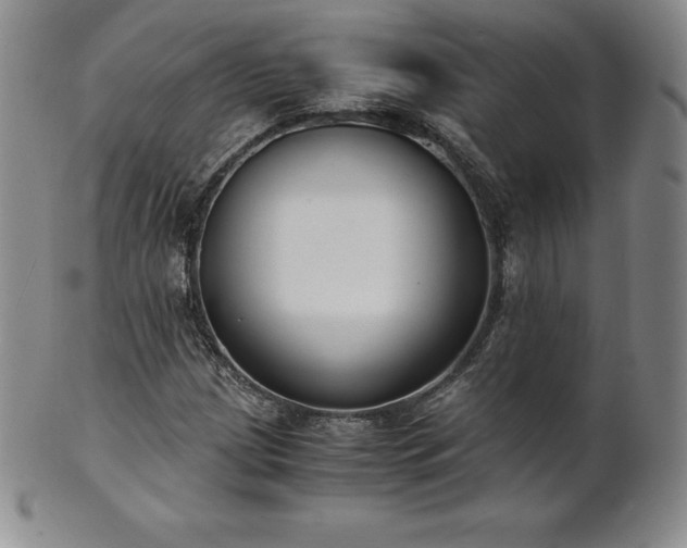 X0000101681209200807171404