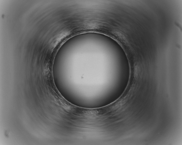 X0000101681210200807171404