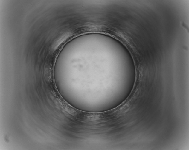 X0000101681211200807171404