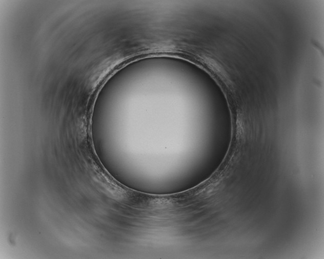 X0000101681212200807171404