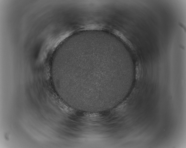 X0000101681213200807171404