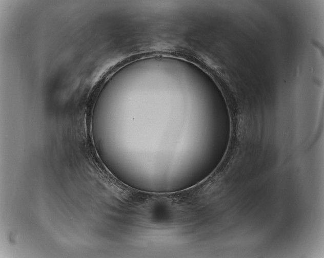 X0000101681214200807171404