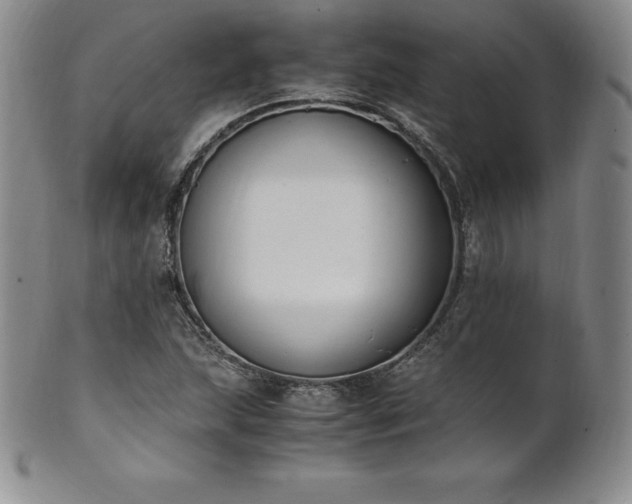 X0000101681215200807171404