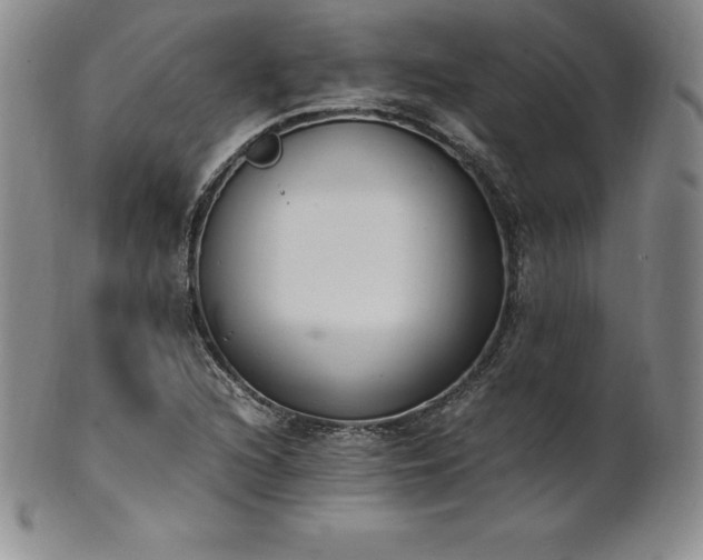 X0000101681216200807171404