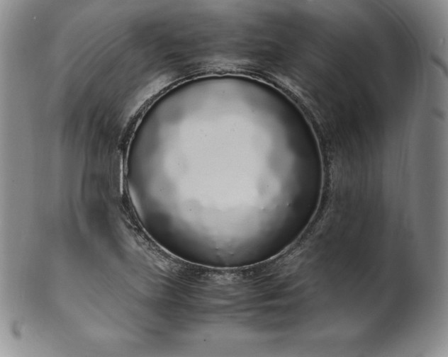 X0000101681219200807171404