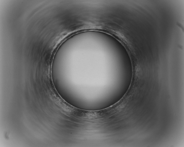 X0000101681220200807171404