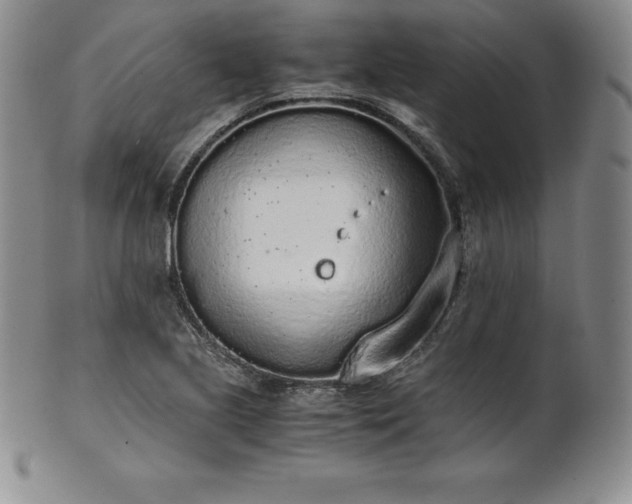 X0000101681221200807171404