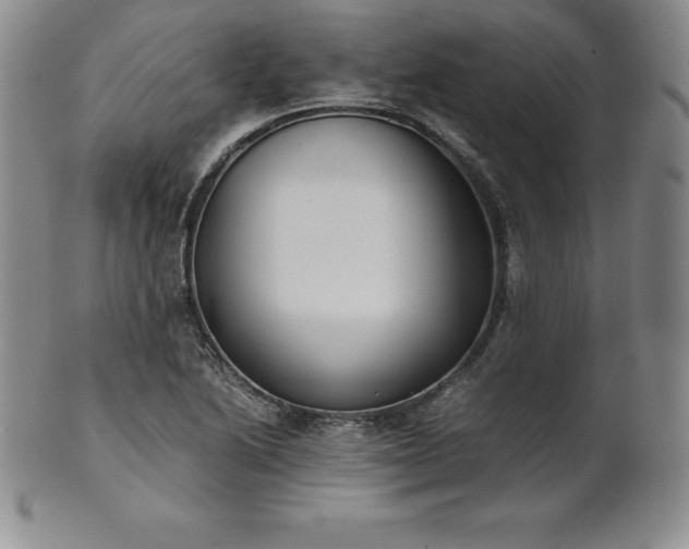 X0000101681222200807171404