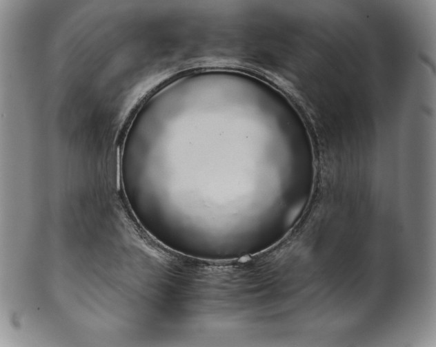 X0000101681223200807171404