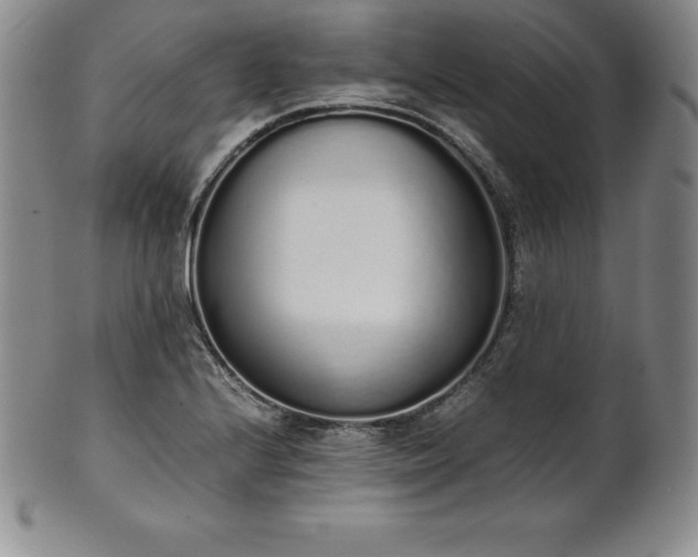 X0000101681224200807171404