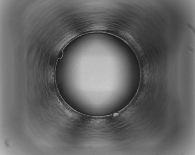 X0000101681225200807171404