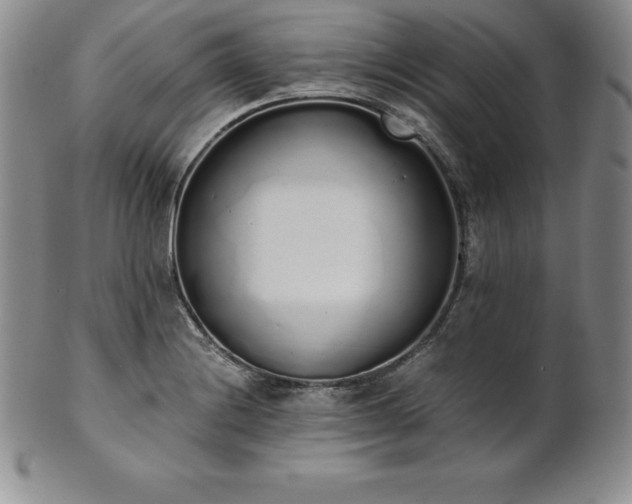 X0000101681228200807171404