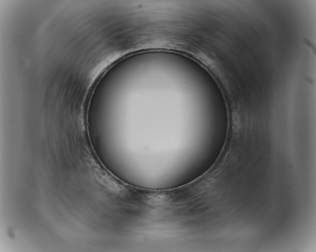 X0000101681230200807171404