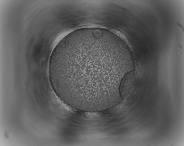 X0000101681231200807171404