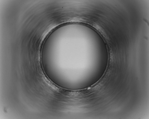 X0000101681232200807171404