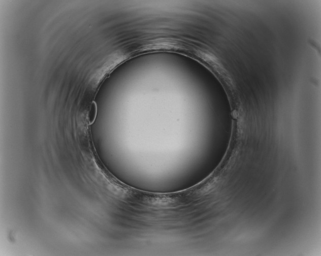 X0000101681233200807171404