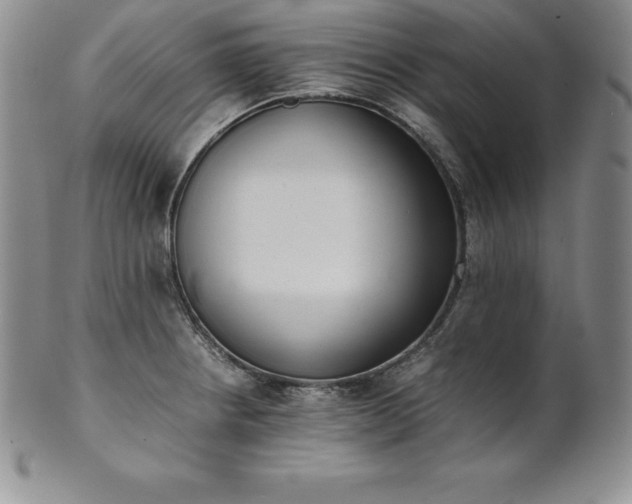 X0000101681234200807171404