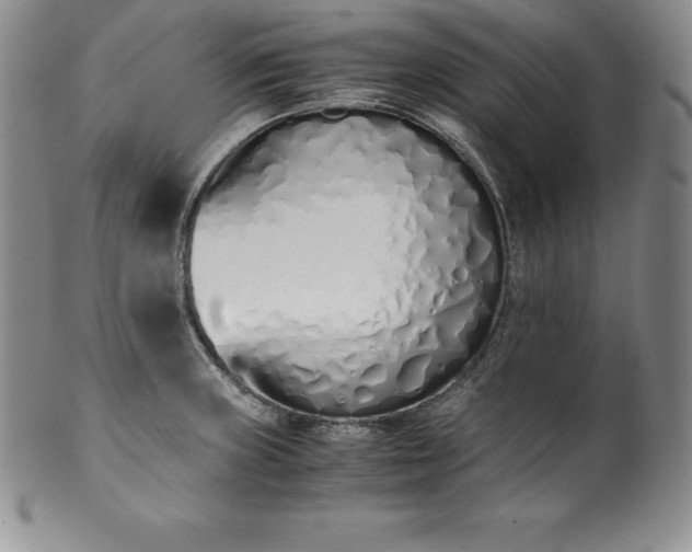 X0000101681235200807171404