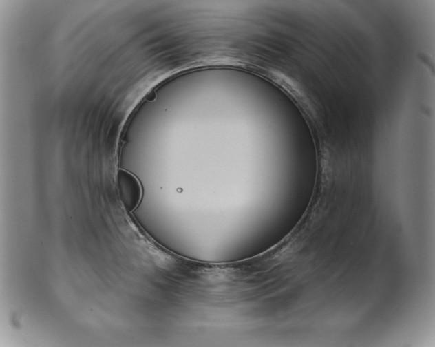 X0000101681236200807171404