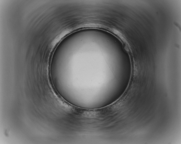 X0000101681237200807171404