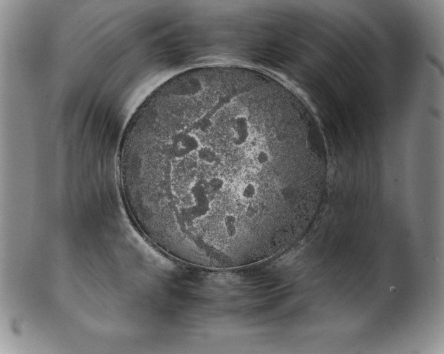 X0000101681239200807171404