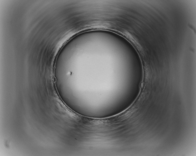 X0000101681240200807171404