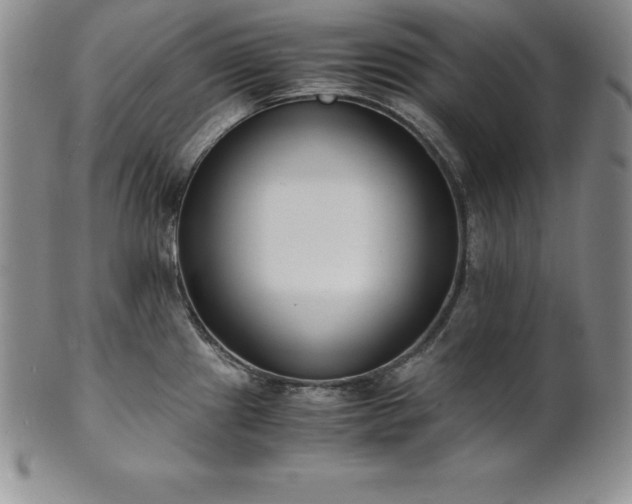 X0000101681241200807171404