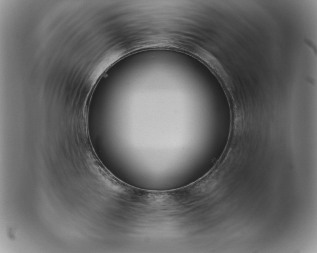 X0000101681242200807171404