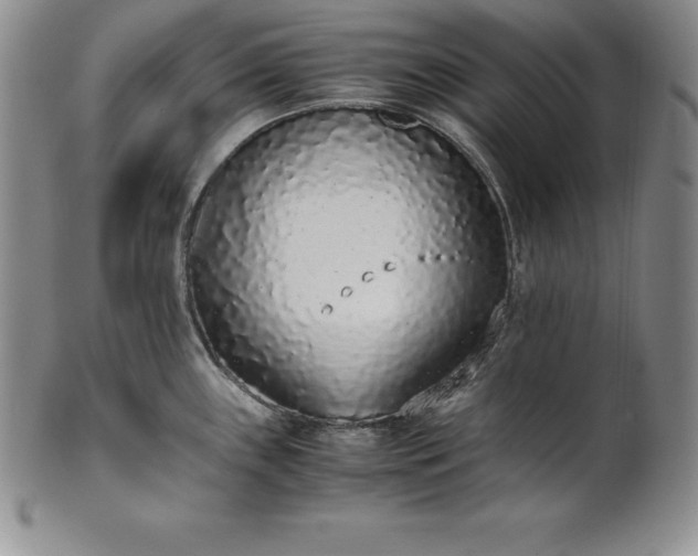 X0000101681243200807171404