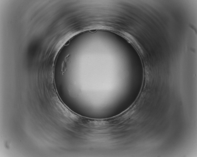 X0000101681244200807171404