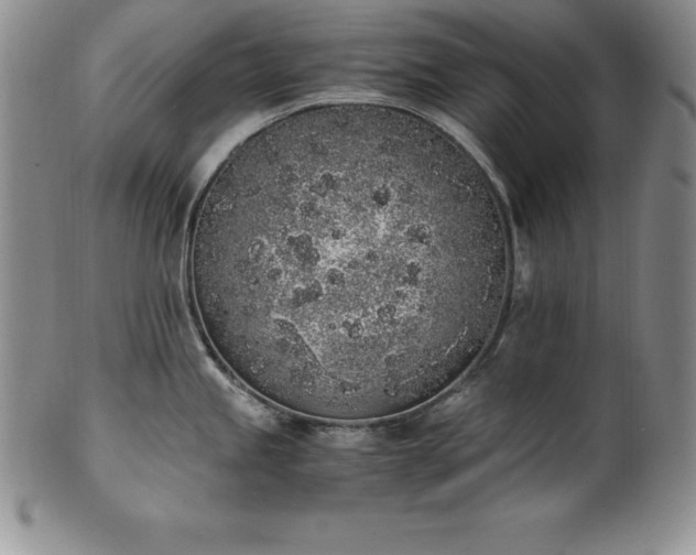 X0000101681245200807171404