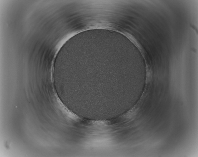 X0000101681246200807171404