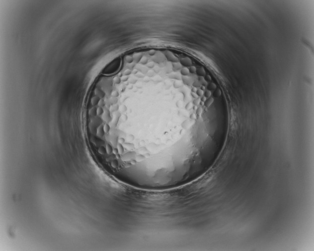 X0000101681247200807171404