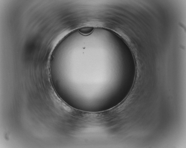 X0000101681248200807171404