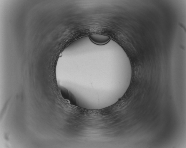 X0000101681249200807171403