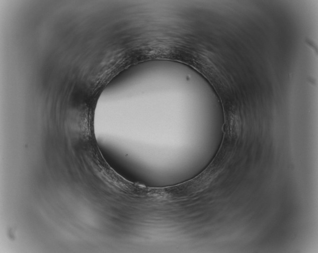 X0000101681250200807171403