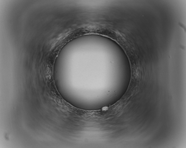 X0000101681253200807171403