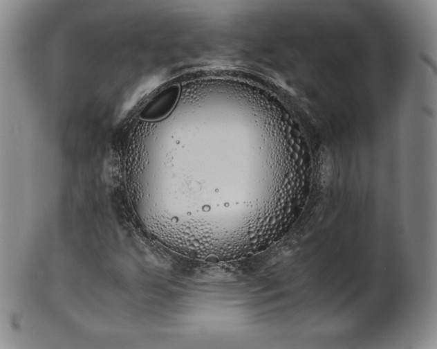 X0000101681255200807171403