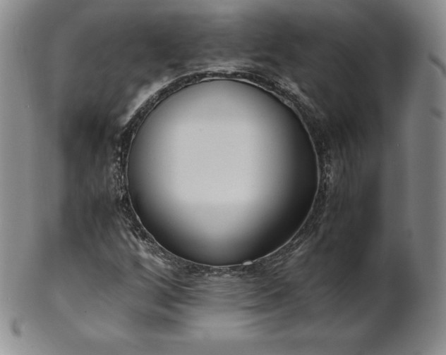 X0000101681256200807171403